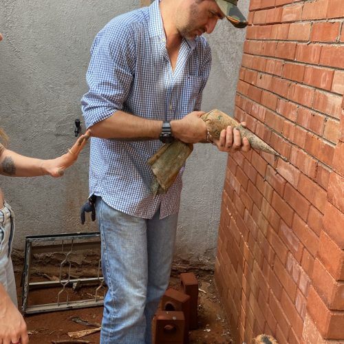 667565F8-A3D3-49E0-A857-61902B97B009