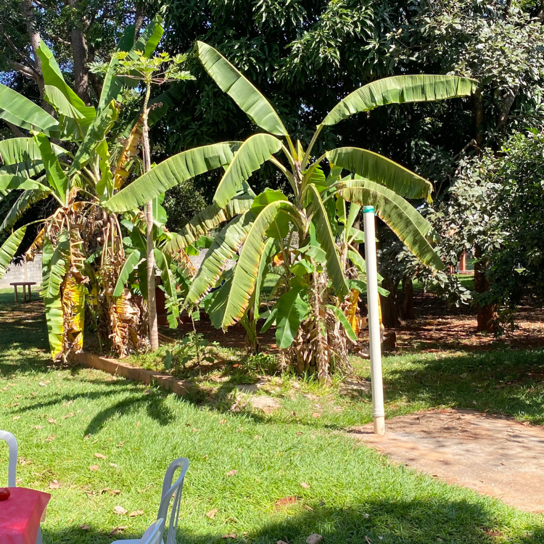 Design sem nome - 2025-11-19T110233.425